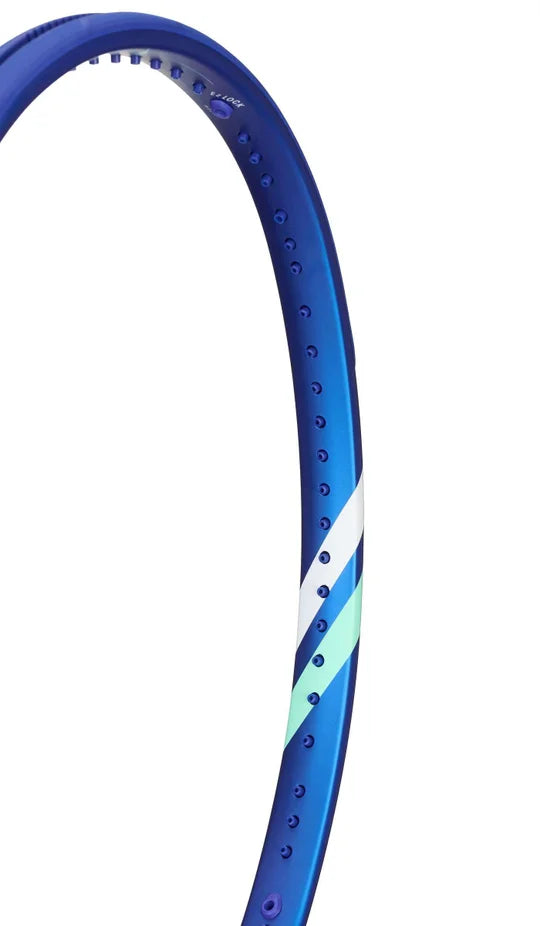 Raqueta Tecnifibre TFight ID 300 azul