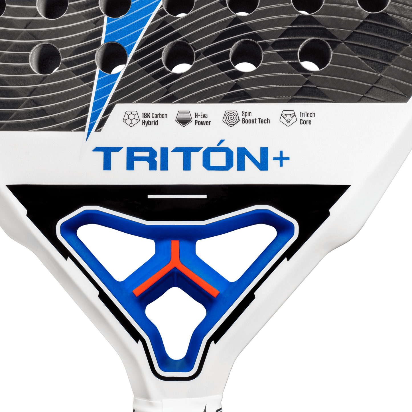 Starvie Triton Power +