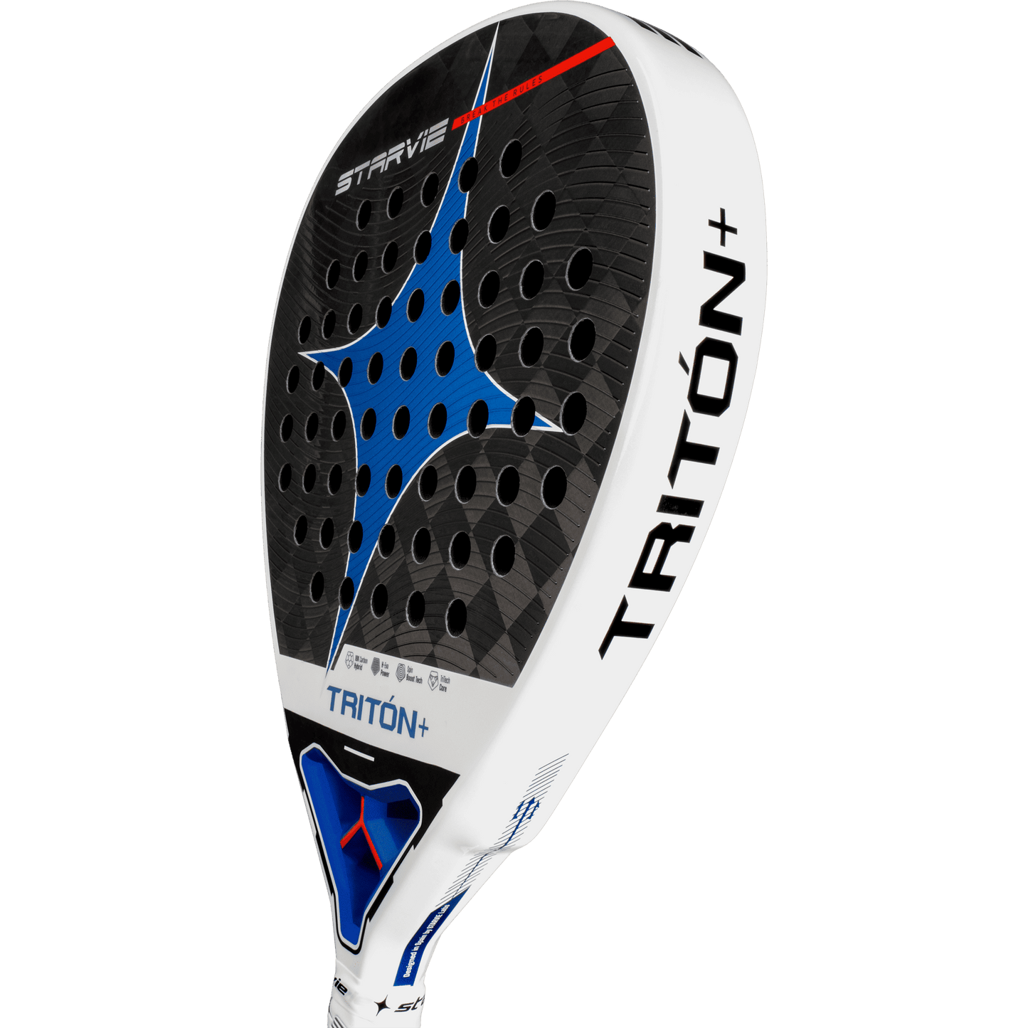 Starvie Triton Power +